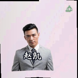 赵凯
